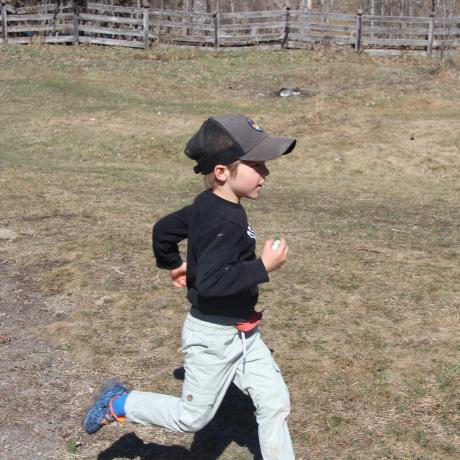 Chasse aux oeufs