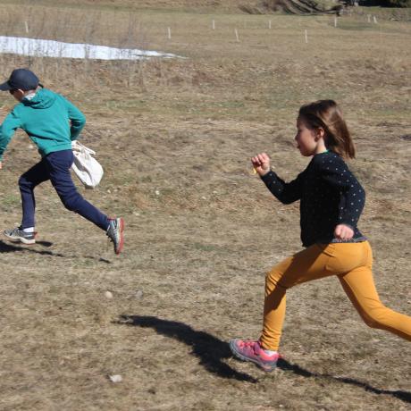 Chasse aux oeufs
