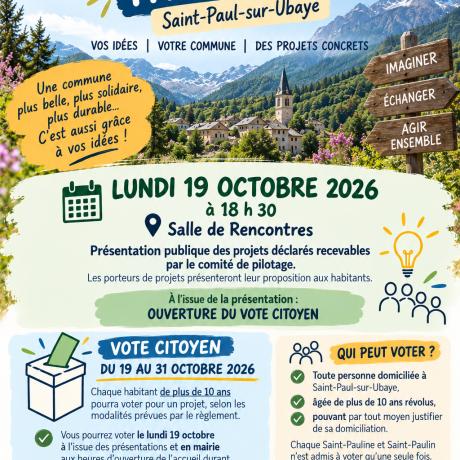 budget participatif vote 